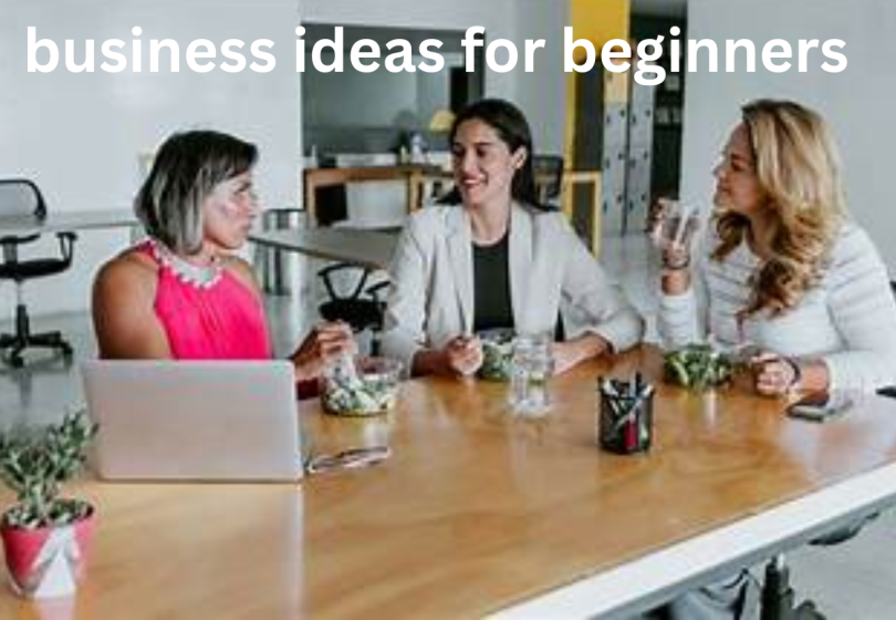 business ideas for beginners
