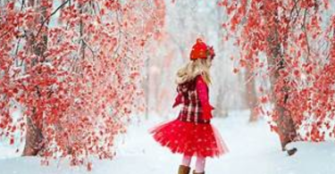 how to choose the right career